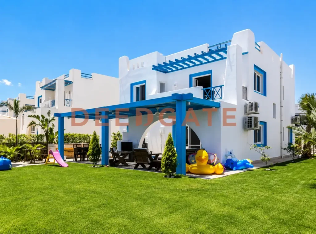 ماونتن فيو راس الحكمة